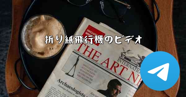 <b>折り紙飛行機のビデオ</b>