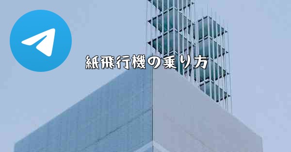 紙飛行機の乗り方