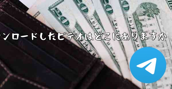 Little Plane がダウンロードしたビデオはどこにありますか