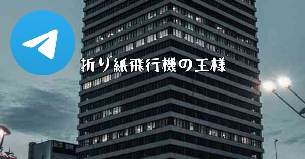 折り紙飛行機の王様