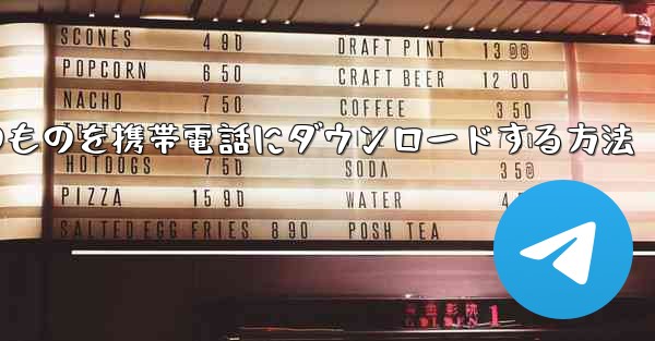 <b>飛行機内のものを携帯電話にダウンロードする方法</b>