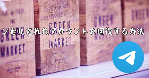 Paper Planeのキャンセルされたアカウントを回復する方法