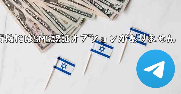 紙飛行機にはSMS認証オプションがありません