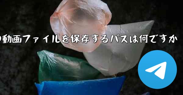 紙飛行機の動画ファイルを保存するパスは何ですか