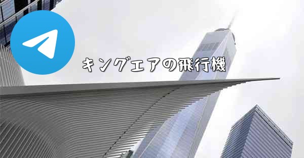 キングエアの飛行機