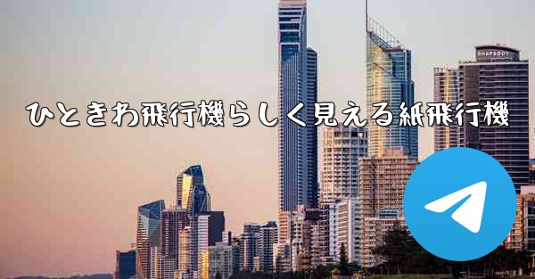 <b>ひときわ飛行機らしく見える紙飛行機</b>