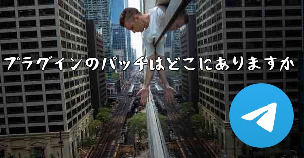 Paper Plane プラグインのパッチはどこにありますか