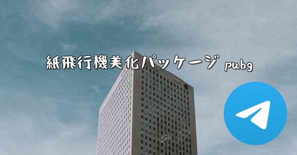 紙飛行機美化パッケージ pubg