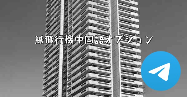 紙飛行機中国語オプション