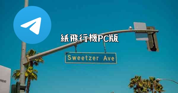 紙飛行機PC版