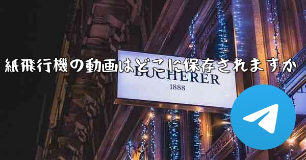 紙飛行機の動画はどこに保存されますか