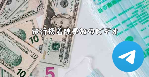 飛行機着陸事故のビデオ