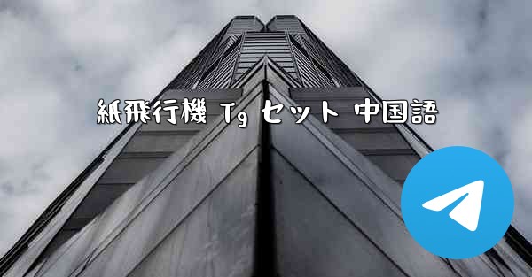 紙飛行機 Tg セット 中国語