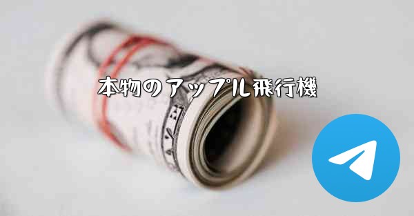 本物のアップル飛行機