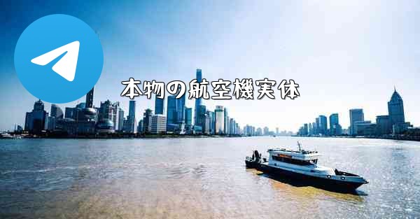 本物の航空機実体