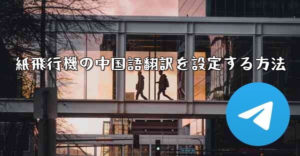 紙飛行機の中国語翻訳を設定する方法