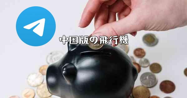 <b>中国版の飛行機</b>