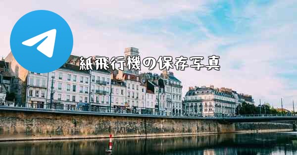 紙飛行機の保存写真