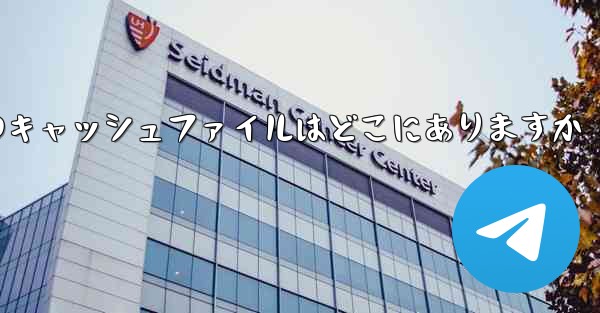 紙飛行機のキャッシュファイルはどこにありますか