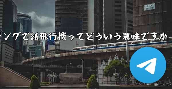 ネットスラングで紙飛行機ってどういう意味ですか