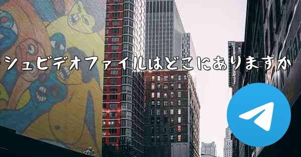 Paper Plane のキャッシュビデオファイルはどこにありますか