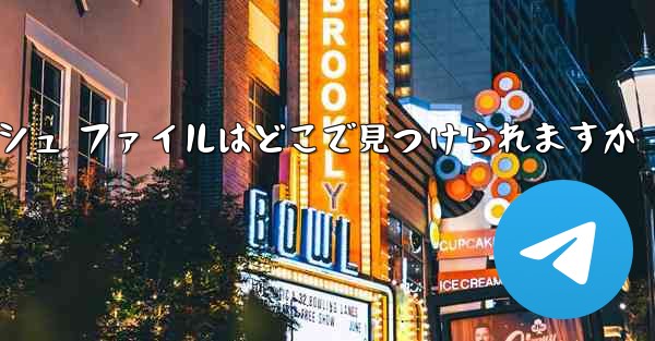 紙飛行機のキャッシュ ファイルはどこで見つけられますか