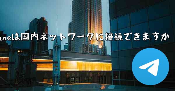 Paper Planeは国内ネットワークに接続できますか