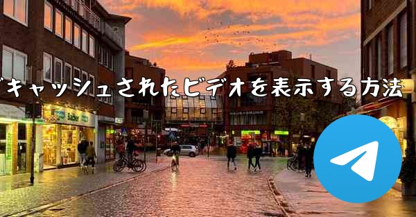 Paper Plane でキャッシュされたビデオを表示する方法