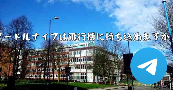 ヌードルナイフは飛行機に持ち込めますか