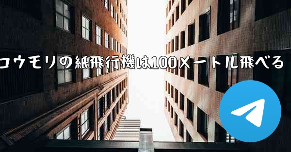 コウモリの紙飛行機は100メートル飛べる