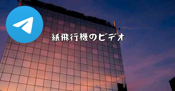 紙飛行機のビデオ