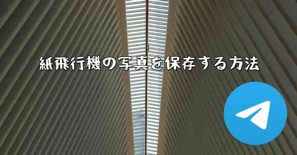 紙飛行機の写真を保存する方法