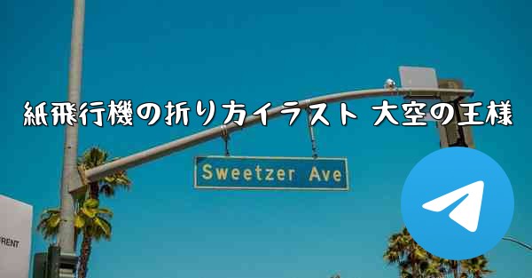 紙飛行機の折り方イラスト 大空の王様