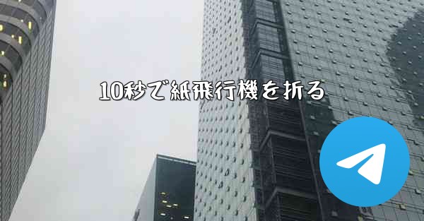 10秒で紙飛行機を折る