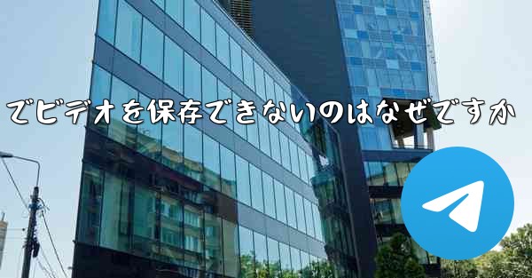 Paper Plane でビデオを保存できないのはなぜですか