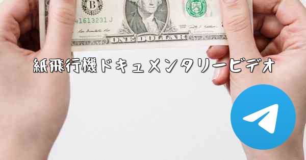 紙飛行機ドキュメンタリービデオ