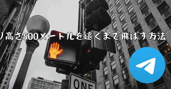 <b>紙飛行機を折り高さ500メートルを遠くまで飛ばす方法</b>