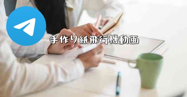 手作り紙飛行機動画