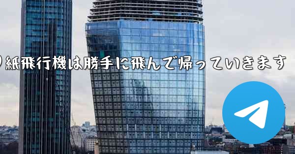 折り紙飛行機は勝手に飛んで帰っていきます