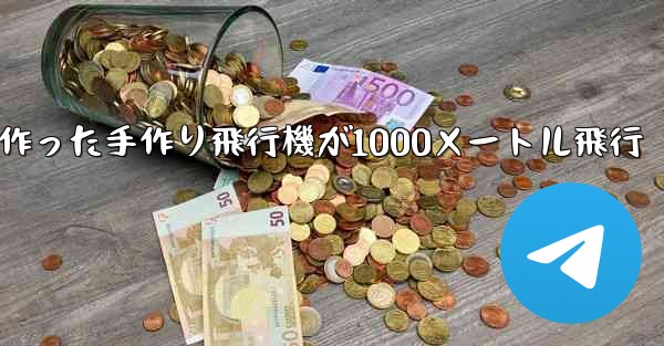 <b>折り紙で作った手作り飛行機が1000メートル飛行</b>