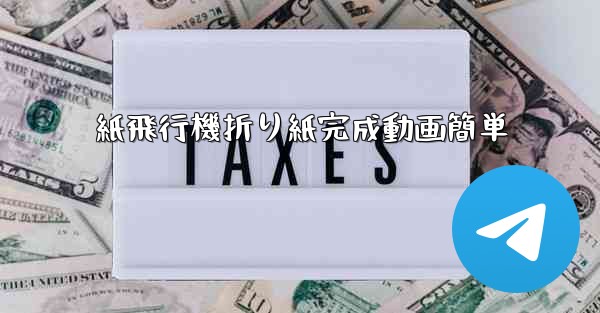 紙飛行機折り紙完成動画簡単