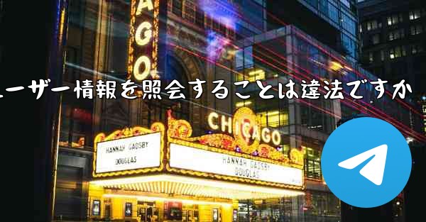 Paper Plane がユーザー情報を照会することは違法ですか