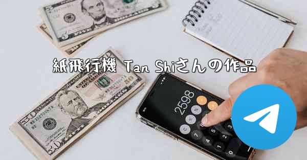 紙飛行機 Tan Shiさんの作品