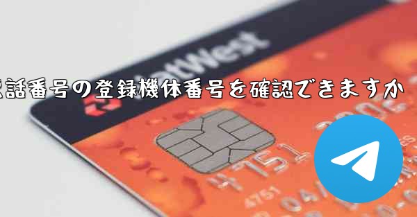 <b>国内携帯電話番号の登録機体番号を確認できますか</b>