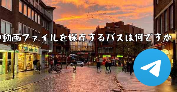 紙飛行機の動画ファイルを保存するパスは何ですか