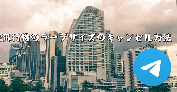 <b>紙飛行機のラージサイズのキャンセル方法</b>