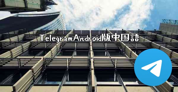 TelegramAndroid版中国語