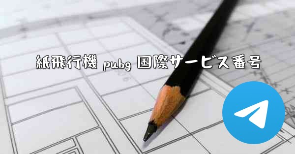 紙飛行機 pubg 国際サービス番号
