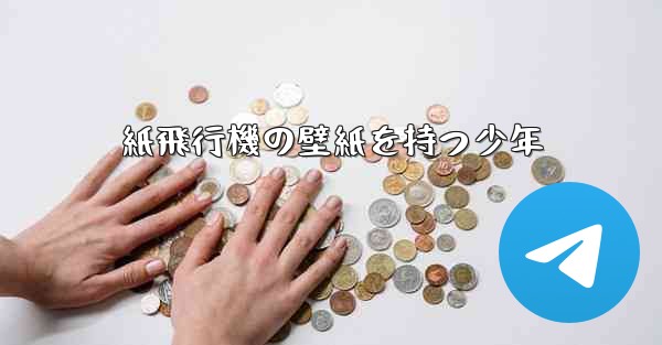 <b>紙飛行機の壁紙を持つ少年</b>