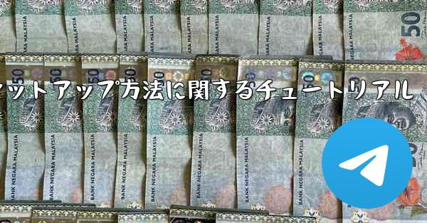 Paper Plane 中国語言語パックのセットアップ方法に関するチュートリアル